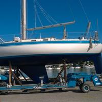 V-Cat 38 Vallicelli-Artmare