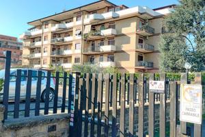 BOX A ROMA