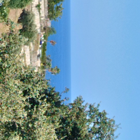 Appartamento Alassio vista mare