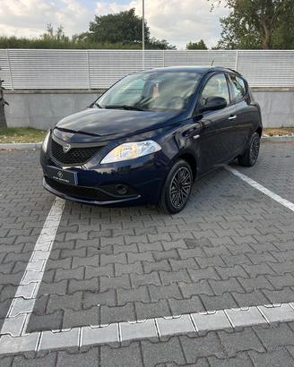 Lancia Ypsilon 1.3 MJT 16V 95 CV 5 porte S&S Gold