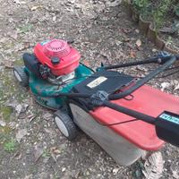 Rasa erba trazionato