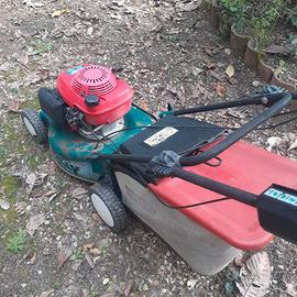 Rasa erba trazionato