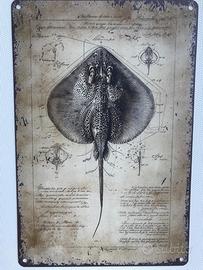 Targa metallo 20x30 cm
