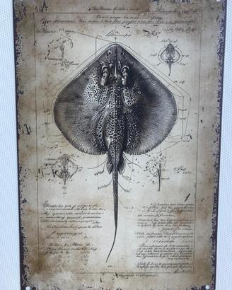 Targa metallo 20x30 cm