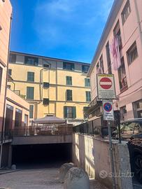 CENTRO SARZANA (SP)