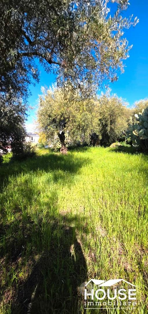 RAGALNA TERRENO AGRICOLO - Vista 3