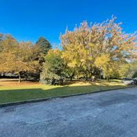 Vigne nuove - locale ad uso investimento