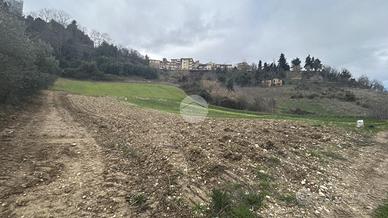 TER. AGRICOLO A RIPATRANSONE