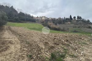 TER. AGRICOLO A RIPATRANSONE