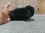 Immagine 5