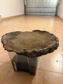 Lastra per bosco bonsai