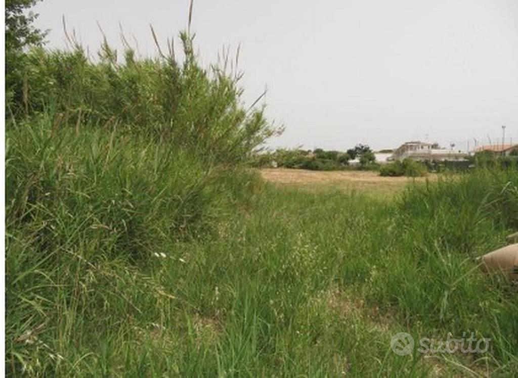 Immobile in asta di 4991 m² a Santa Marinella - Vista 5