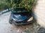 Immagine 1