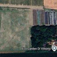 Serre e terreno  con sistema di irrigazione. 