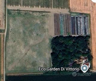 Serre e terreno  con sistema di irrigazione. 