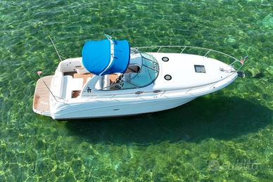 Sea ray 335 - usato solo acqua dolce