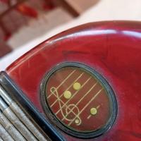 fisarmonica primi ' 900