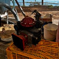 Pompa Arteri Reverberi