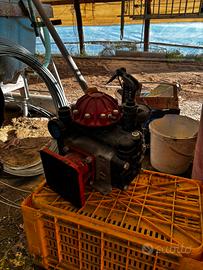 Pompa Arteri Reverberi