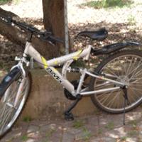 Mountain bike (misura 26)