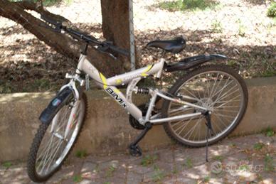 Mountain bike (misura 26)