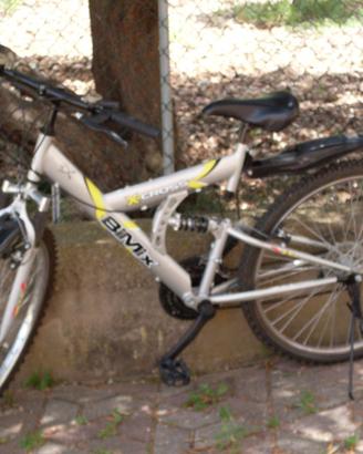 Mountain bike (misura 26)