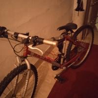 Mountain bike