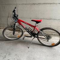 Monitain bike ragazzo 24