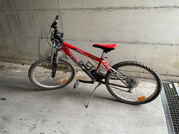 Monitain bike ragazzo 24