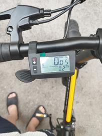 bici elettrica