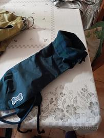 cani di piccola taglia 