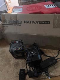 🌿 POTATORE TELESCOPICO A BATTERIA AUSONIA + ACCES