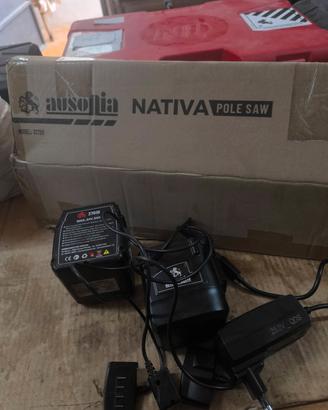 🌿 POTATORE TELESCOPICO A BATTERIA AUSONIA + ACCES