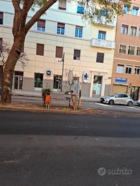 Appartamento via Dante Cagliari