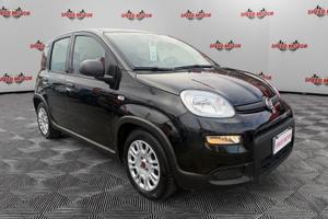 FIAT Panda 1.0 firefly hybrid 70cv 5 POSTI, S...