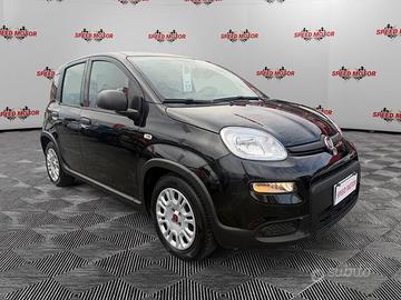 FIAT Panda 1.0 firefly hybrid 70cv 5 POSTI, S...