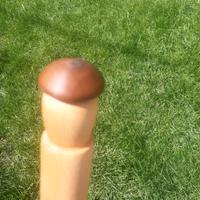 Bastone per fungaioli