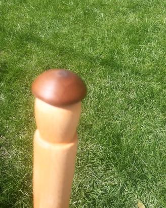 Bastone per fungaioli