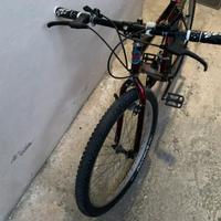 Bici mtb