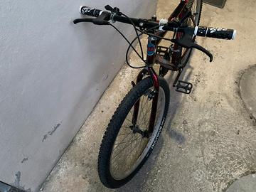 Bici mtb