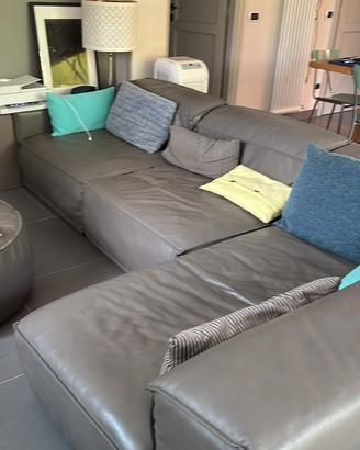 Divano in  pelle fiore Colore grigio Doimo sofas