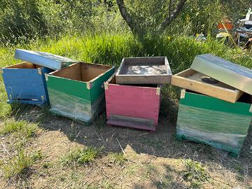 Blocco di arnie - materiale apistico