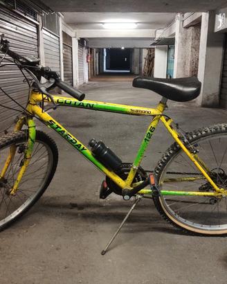 Mountain Bike Gialla