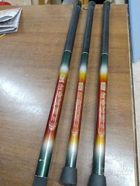 Canne da pesca fisse