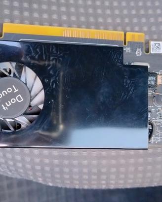 scheda video AMD Radeon R7 430  4GB 