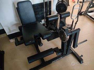 Leg Extension/Curl Rexgym