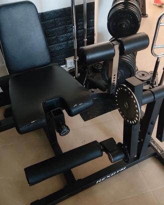 Leg Extension/Curl Rexgym