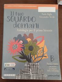 Il tuo sguardo domani ( Poesia e teatro ) 