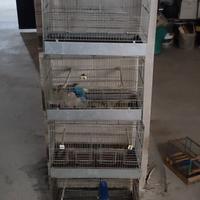 5 gabbie da  cova da 45 cm 