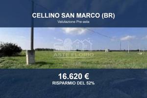 Immobile in asta di 39509 m² a Cellino San Marco